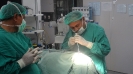 Eye Surgery_8