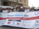 World Diabetes Day_31