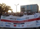 World Diabetes Day_32